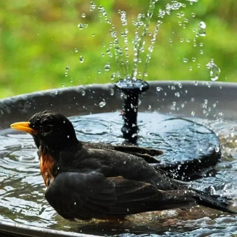 SolarSplash™ - Solar Powered Water Fountain