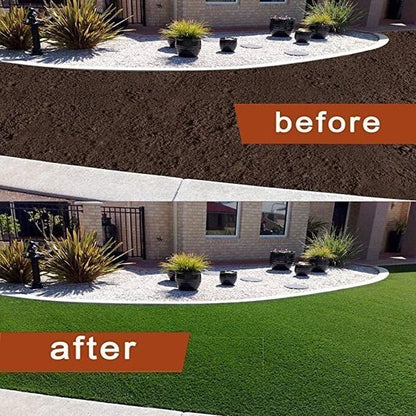 2+1 FREE | Biodegradable Grass Seed Mat™ Effortless Lawn Transformation