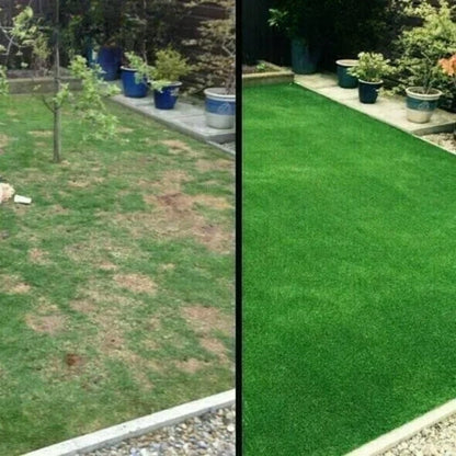 2+1 FREE | Biodegradable Grass Seed Mat™ Effortless Lawn Transformation