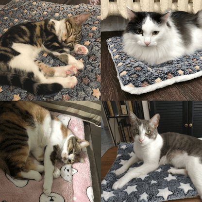 1+1 FREE | Catzy™ - Calming Cat Blanket