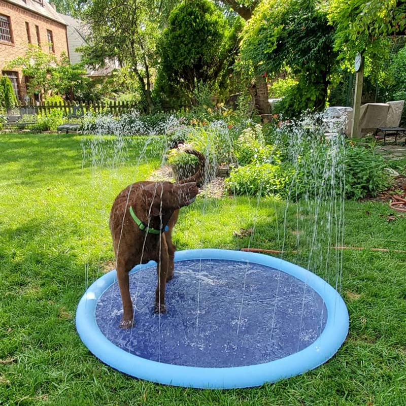 Water Play Mat™ - Interactive water fun for dogs!