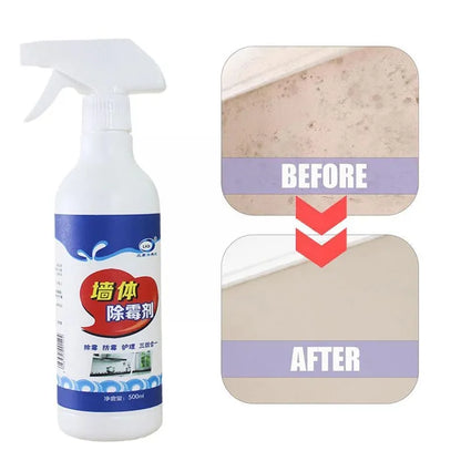 1+1 FREE | AntiMold™ Protect yourself and your health from toxic mold