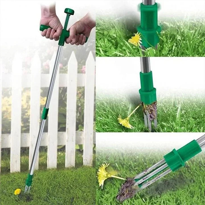 RootVanish™ - Standing Plant Root Remover