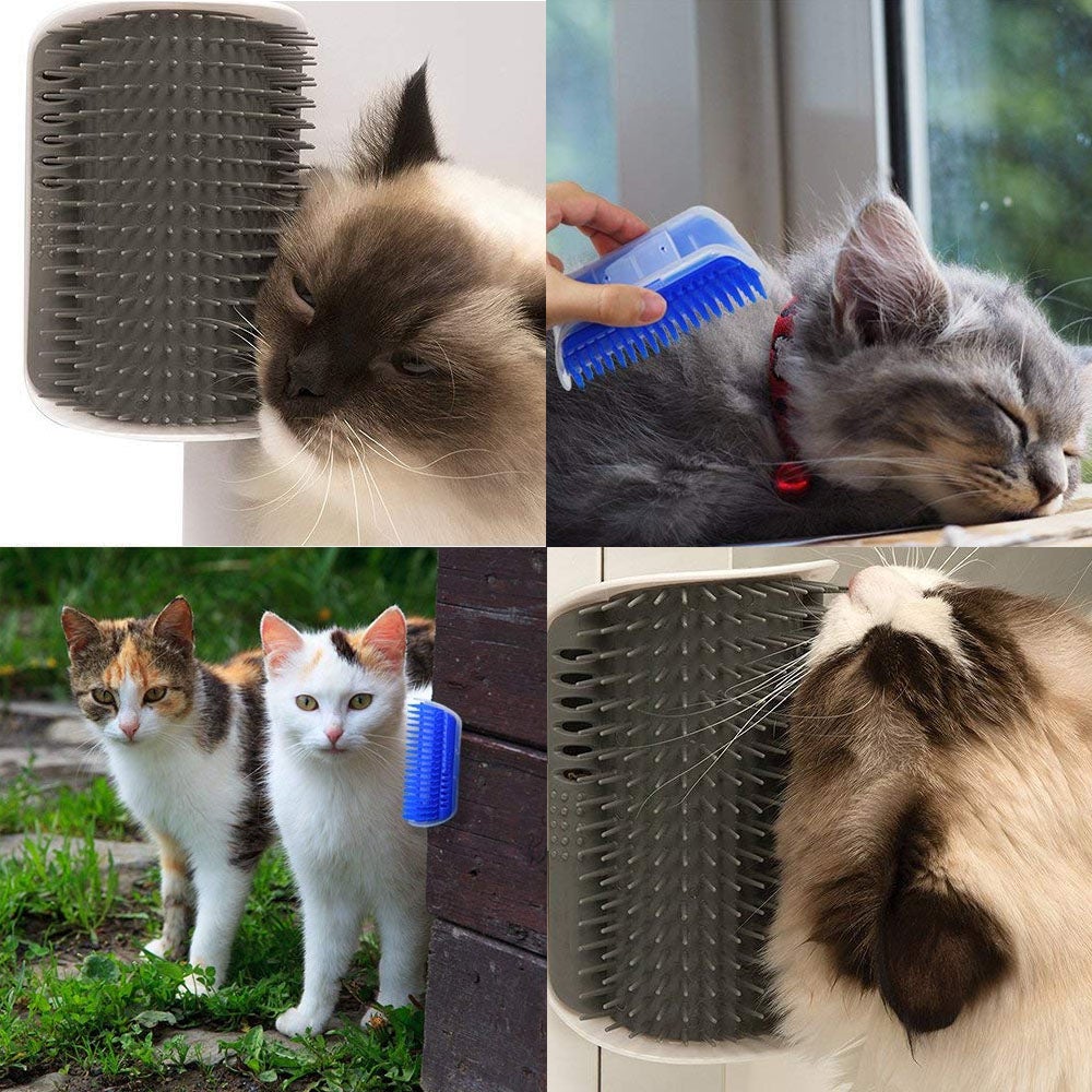 1+1 FREE | PurrGroom™ Effortless Grooming Tool