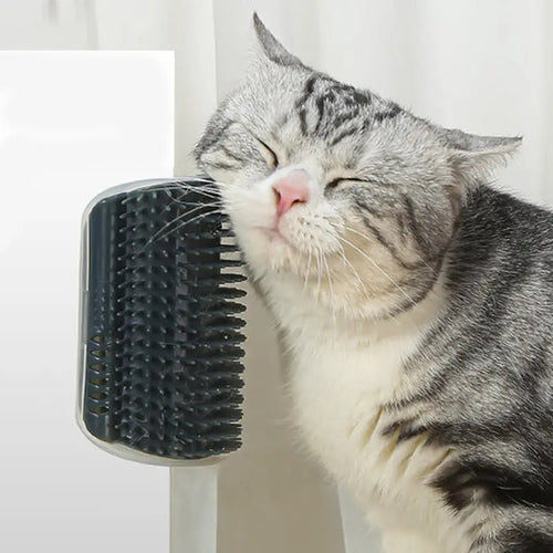 1+1 FREE | PurrGroom™ Effortless Grooming Tool